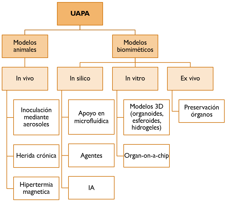 EsquemaUAPA